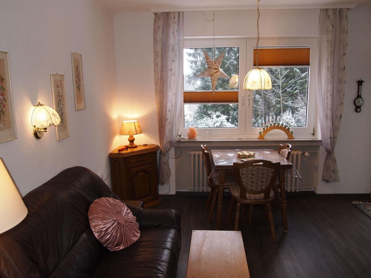 Ferienwohnung Schueler-Wolke 2 Sankt Andreasberg Zewnętrze zdjęcie